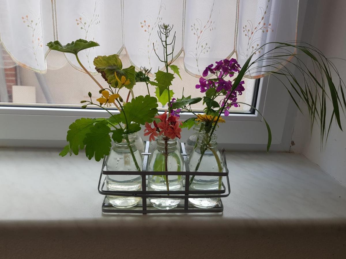 Ferienwohnung Burgenblick Thale Buitenkant foto
